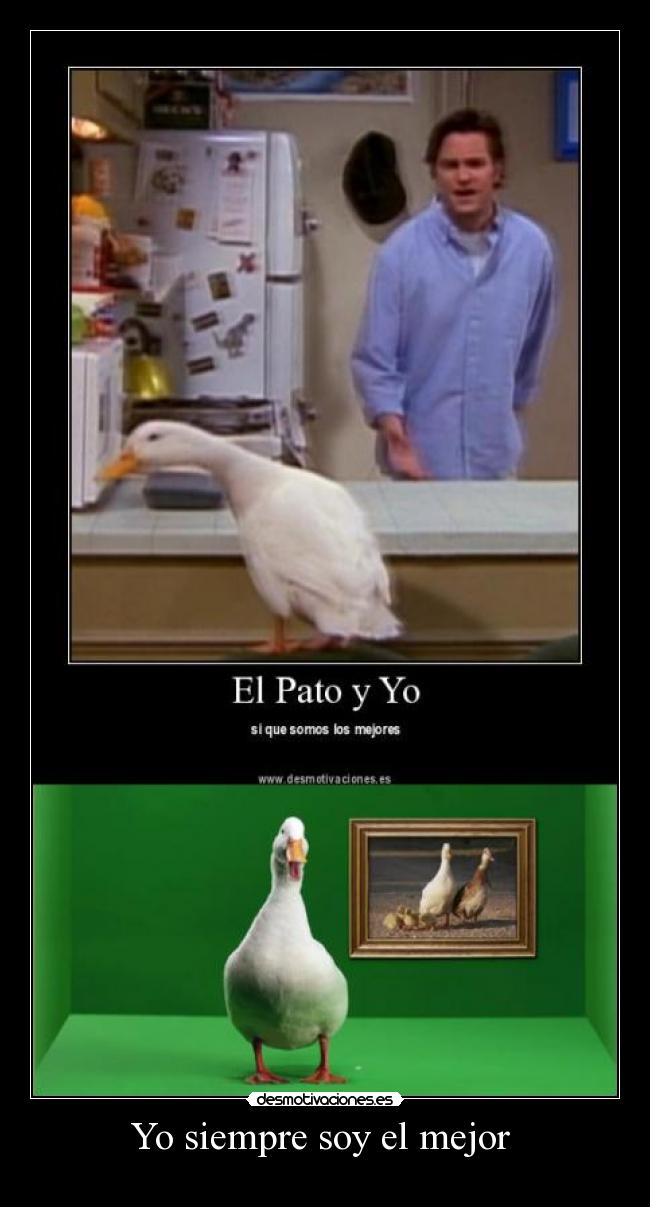 Yo siempre soy el mejor  - 