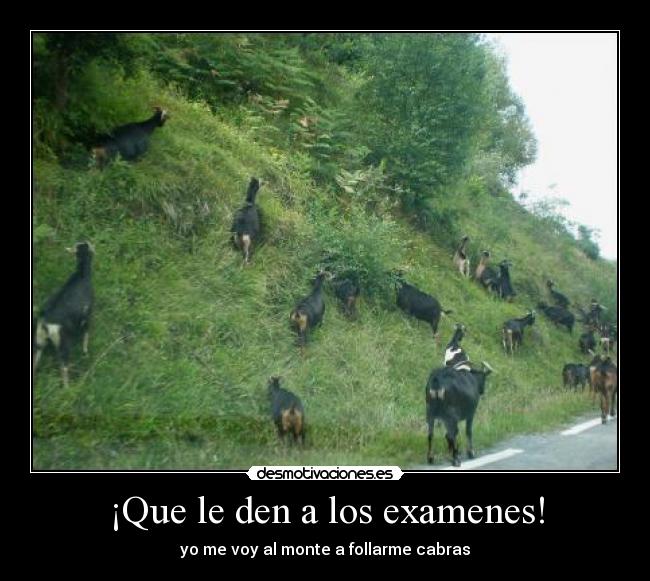 ¡Que le den a los examenes! - yo me voy al monte a follarme cabras