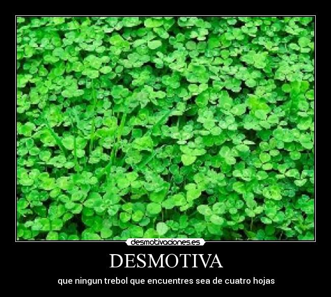 DESMOTIVA - 