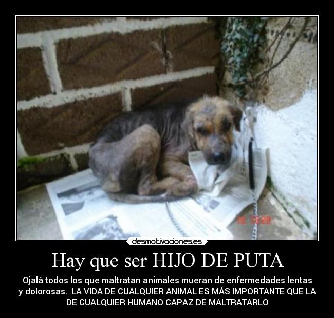 Hay que ser HIJO DE PUTA - 