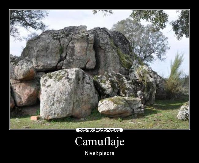 Camuflaje -