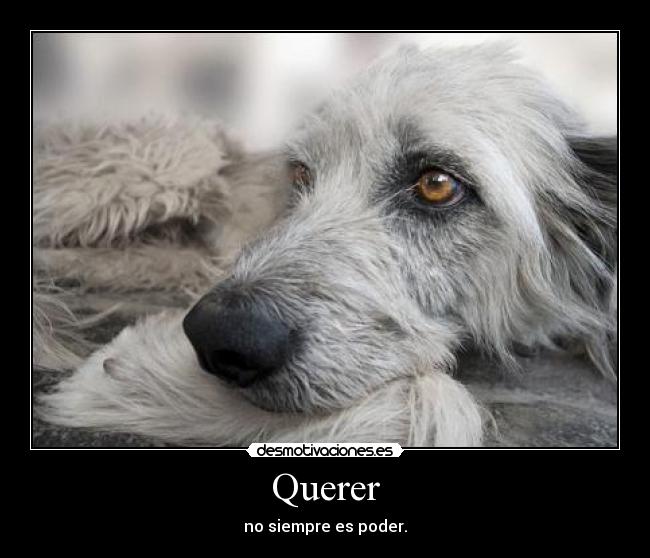 Querer - no siempre es poder.