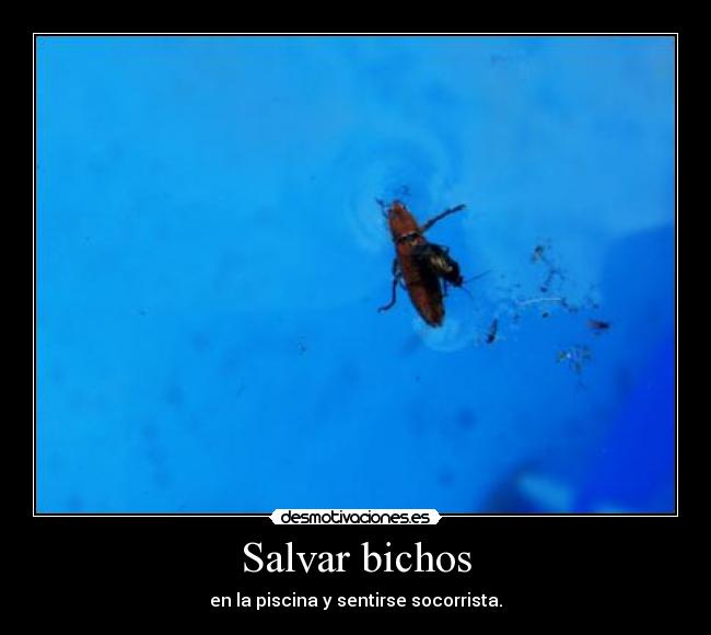 Salvar bichos - 