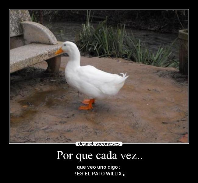 Por que cada vez.. - 