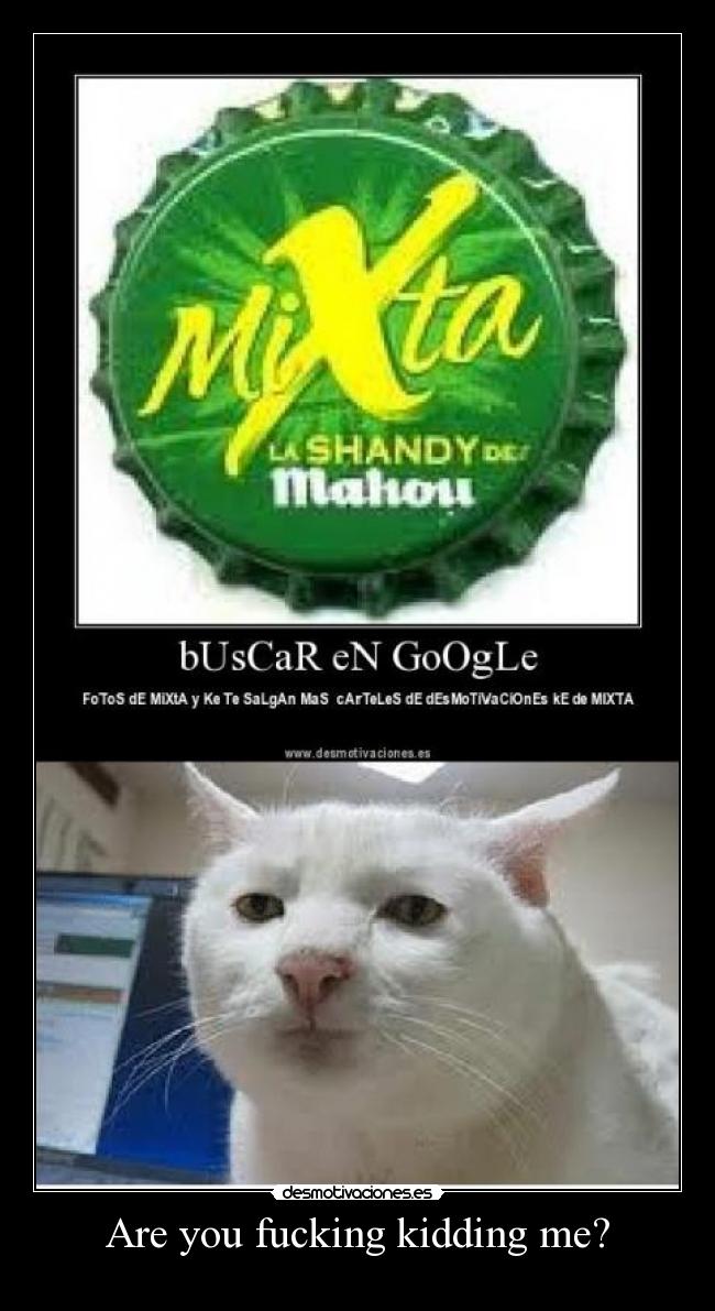 Are you fucking kidding me? -