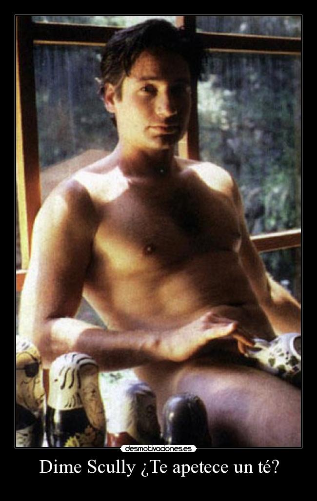 carteles fox mulder dana scully david duchovny expediente desmotivaciones