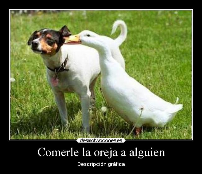 Comerle la oreja a alguien - 