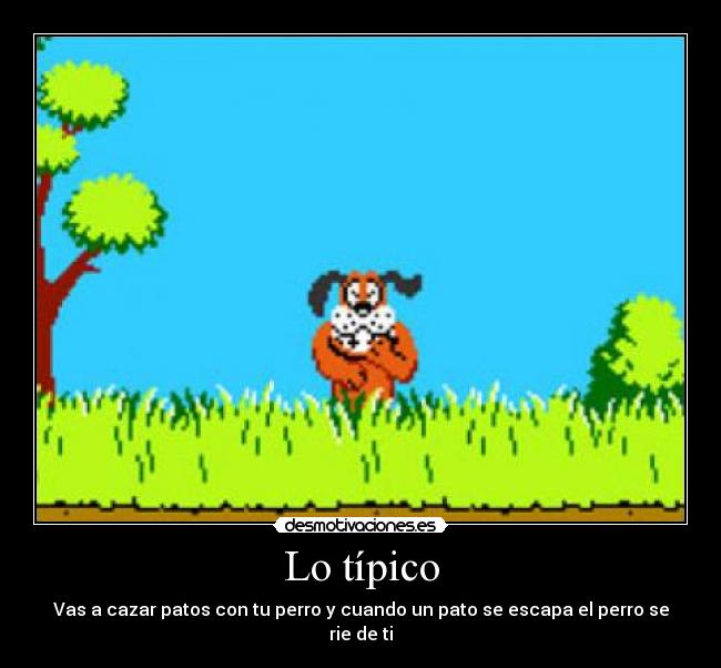 juego de patos y perro