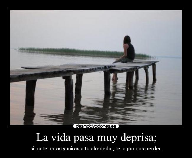 La vida pasa muy deprisa; -  si no te paras y miras a tu alrededor, te la podrías perder. 