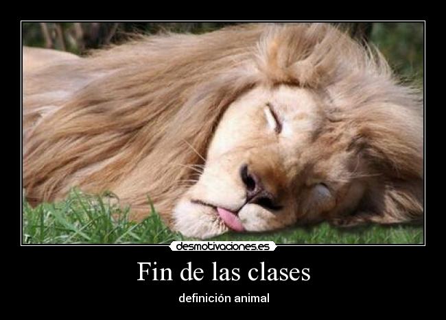 Fin de las clases -