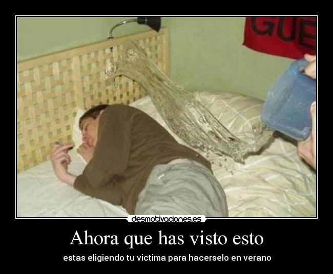 Ahora que has visto esto - 