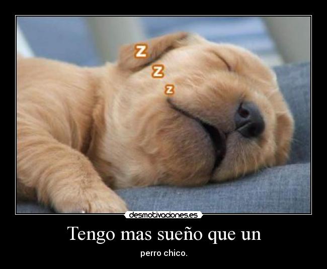 Tengo mas sueño que un - 
