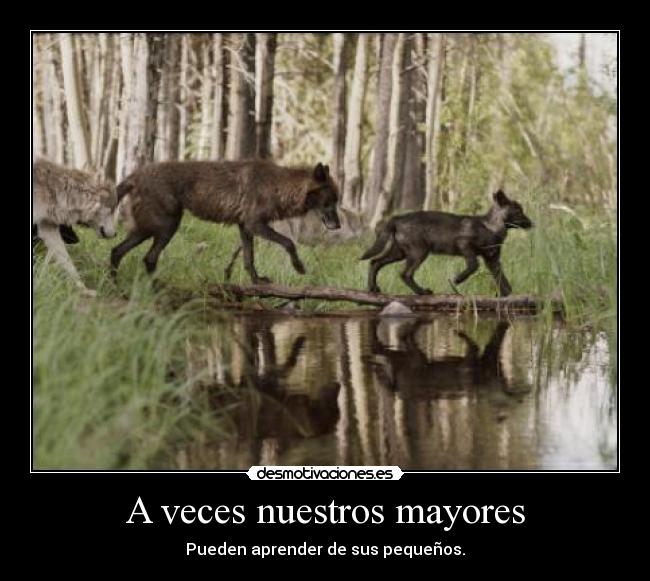 A veces nuestros mayores - Pueden aprender de sus pequeños.