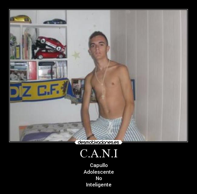 C.A.N.I - Capullo
Adolescente
No
Inteligente