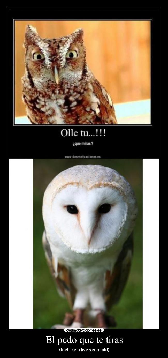 El pedo que te tiras - 