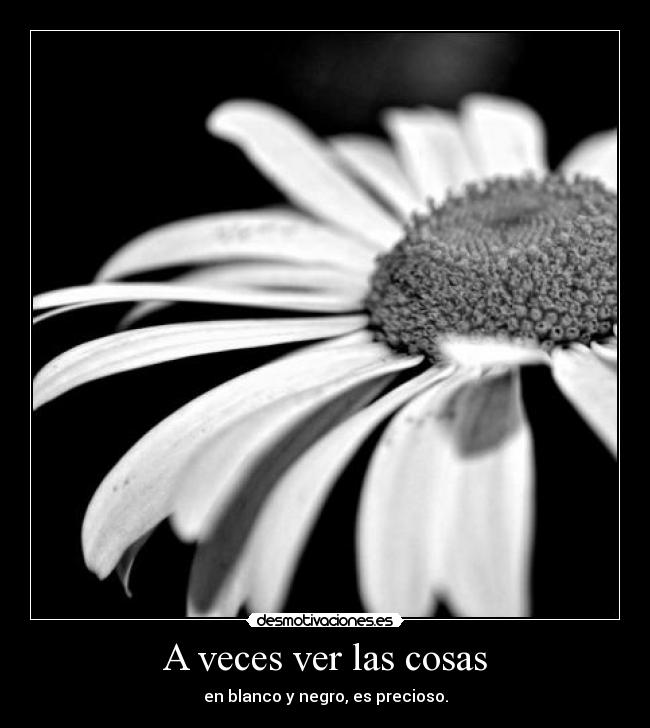 A veces ver las cosas -