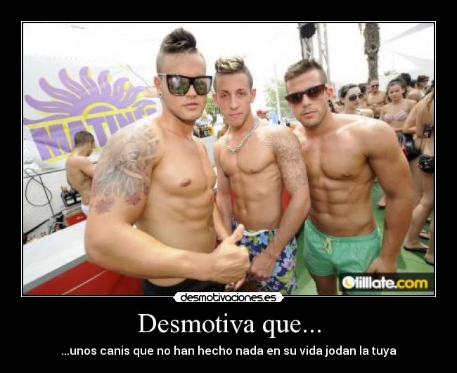 Desmotiva que... - ...unos canis que no han hecho nada en su vida jodan la tuya