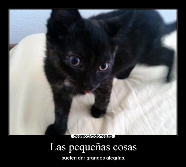 Las pequeñas cosas -