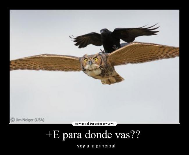 carteles 1062011 desmotivaciones