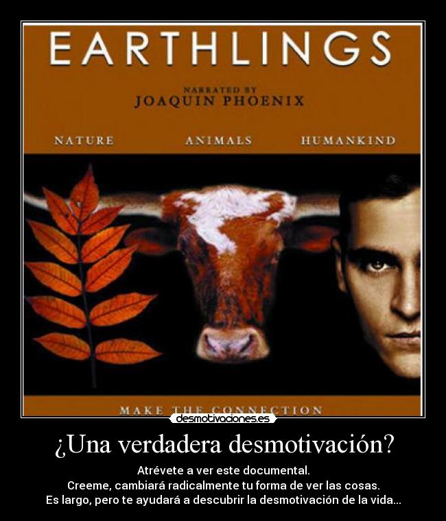 ¿Una verdadera desmotivación? -