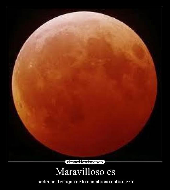 Maravilloso es - poder ser testigos de la asombrosa naturaleza