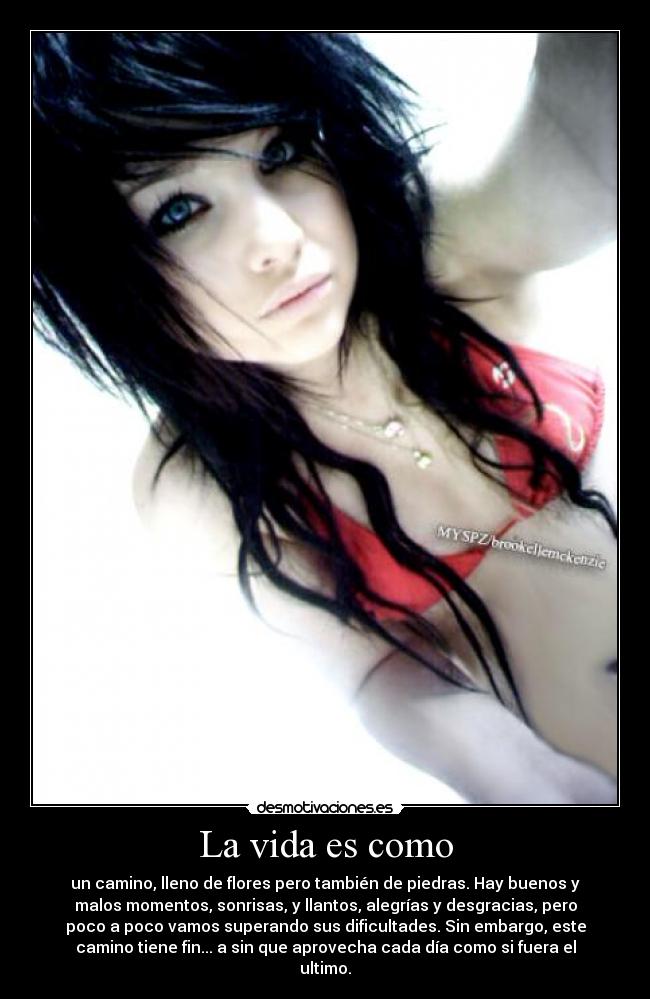 La vida es como - un camino, lleno de flores pero también de piedras. Hay buenos y
malos momentos, sonrisas, y llantos, alegrías y desgracias, pero
poco a poco vamos superando sus dificultades. Sin embargo, este
camino tiene fin... a sin que aprovecha cada día como si fuera el
ultimo.