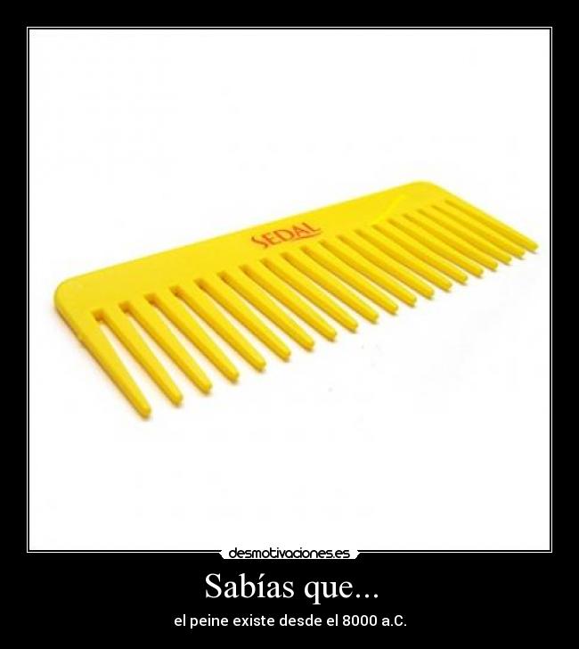 Sabías que... - el peine existe desde el 8000 a.C.