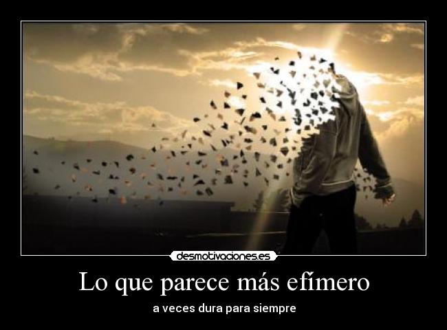 Lo que parece más efímero - 