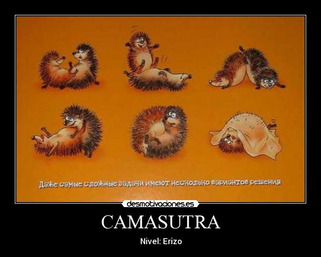 CAMASUTRA - 