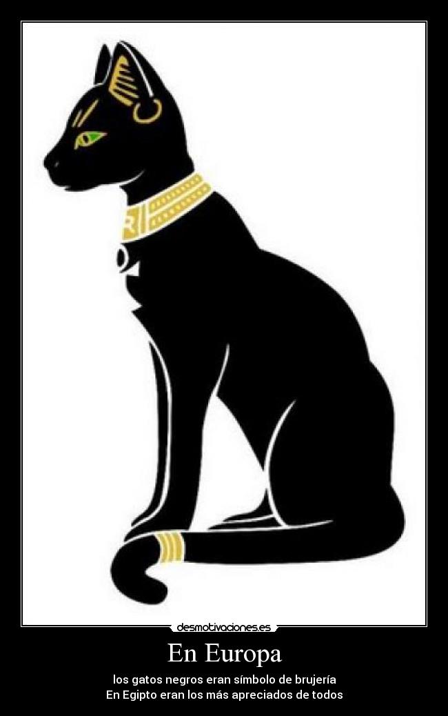 En Europa - los gatos negros eran símbolo de brujería
En Egipto eran los más apreciados de todos