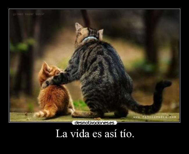 La vida es así tío. -