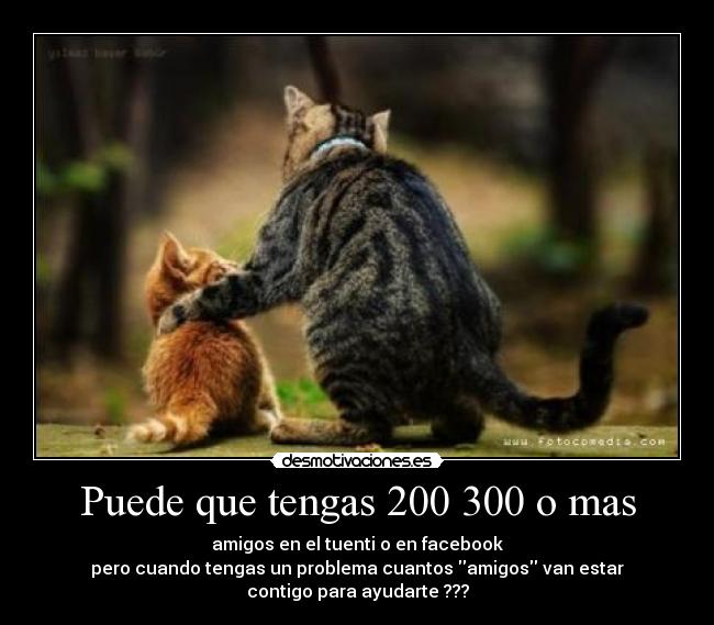 Puede que tengas 200 300 o mas - amigos en el tuenti o en facebook
pero cuando tengas un problema cuantos amigos van estar
contigo para ayudarte ???