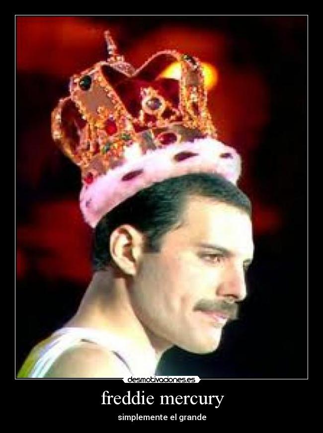 freddie mercury -