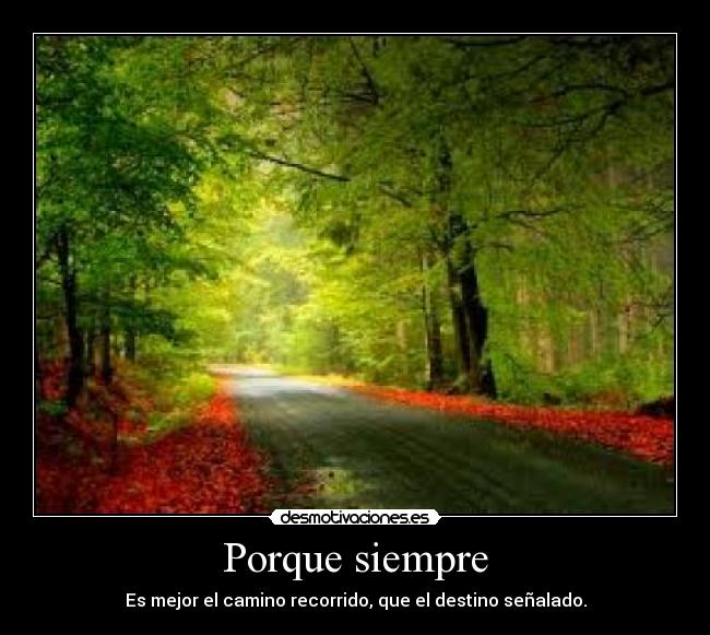 Porque siempre - 