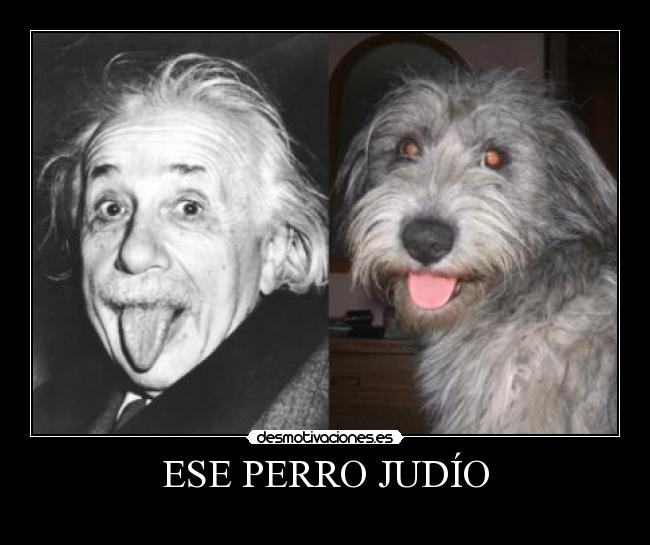 ESE PERRO JUDÍO -