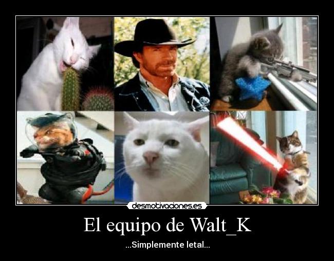 El equipo de Walt_K -