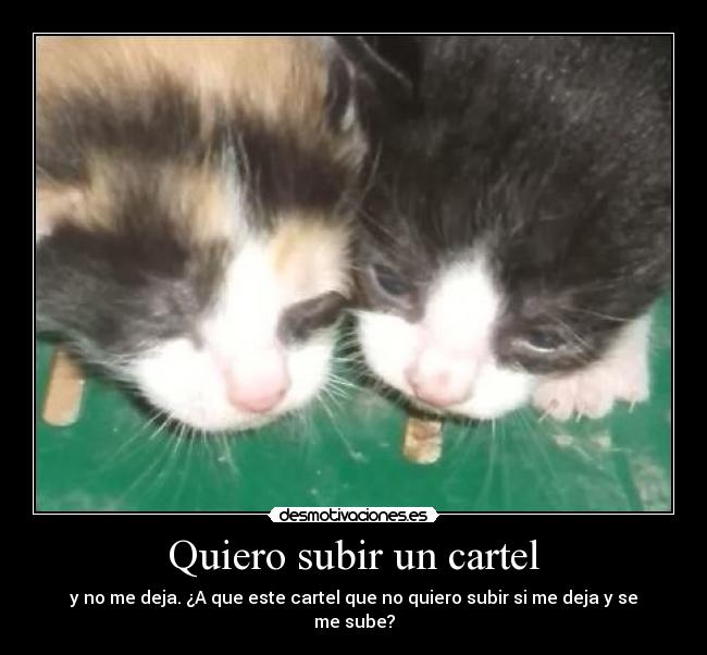 carteles asteriscoalmohadilla54 desmotivaciones