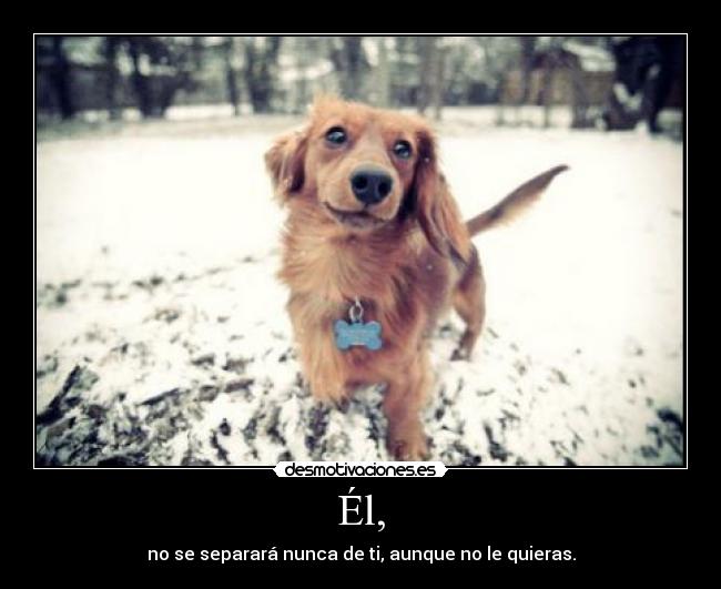 Él, - no se separará nunca de ti, aunque no le quieras.