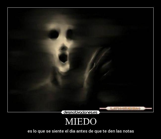 MIEDO - 