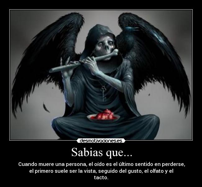 Sabias que... - 