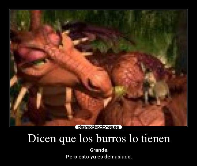 Dicen que los burros lo tienen - Grande.
Pero esto ya es demasiado.