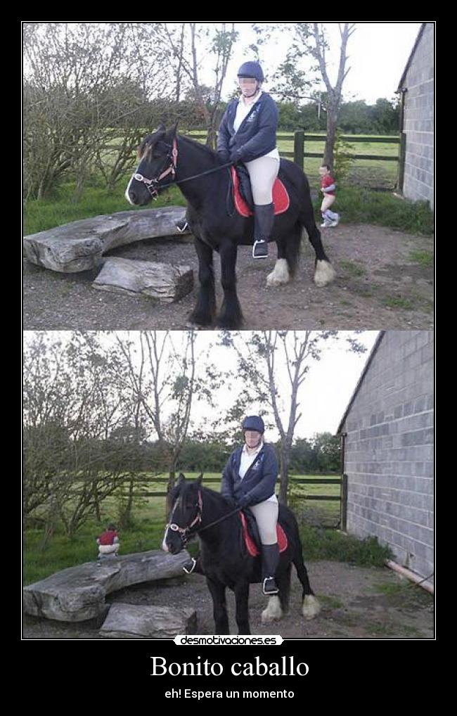 Bonito caballo - eh! Espera un momento