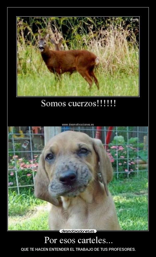 Por esos carteles... -