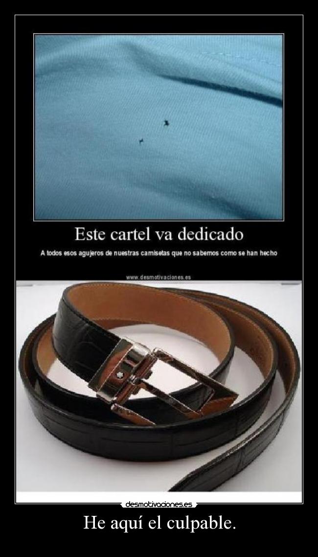 He aquí el culpable. - 