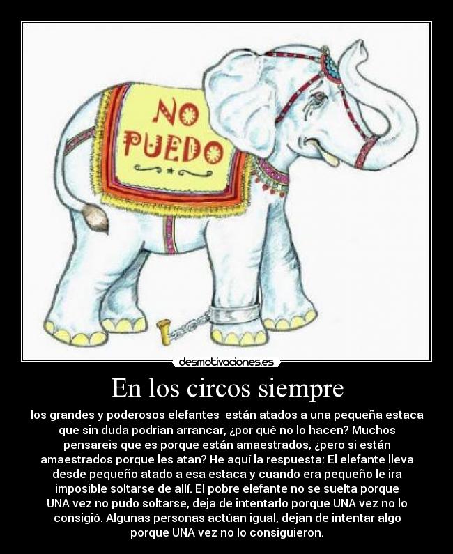 En los circos siempre -
