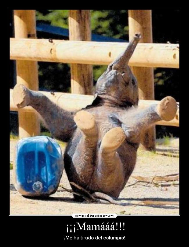 ¡¡¡Mamááá!!! - ¡Me ha tirado del columpio!