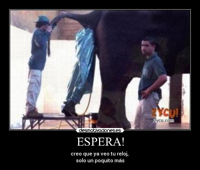 ESPERA! - creo que ya veo tu reloj, 
solo un poquito más