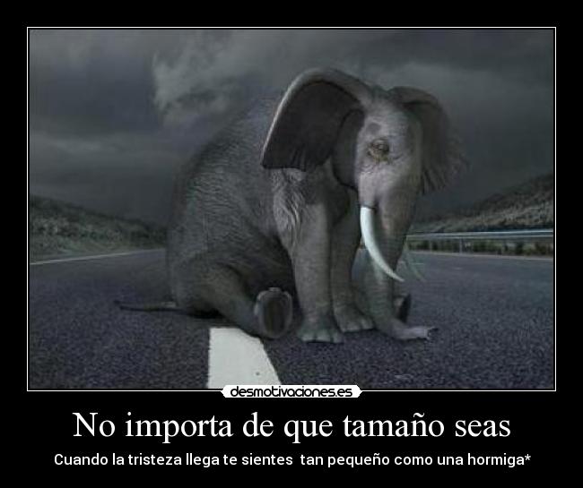 No importa de que tamaño seas -