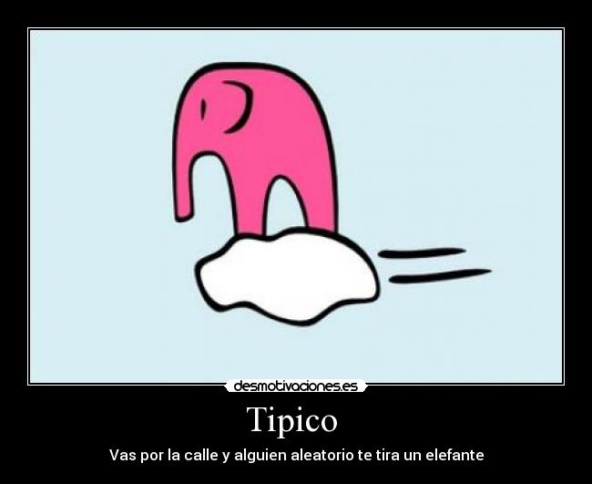 Tipico - Vas por la calle y alguien aleatorio te tira un elefante