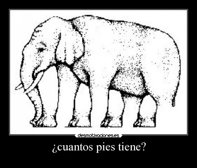 ¿cuantos pies tiene? -